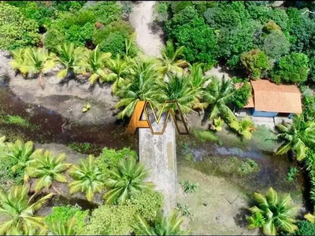 Terreno / Lote para Venda em Maraú/BA Centro