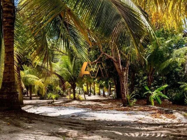 Terreno / Lote para Venda em Maraú/BA Centro