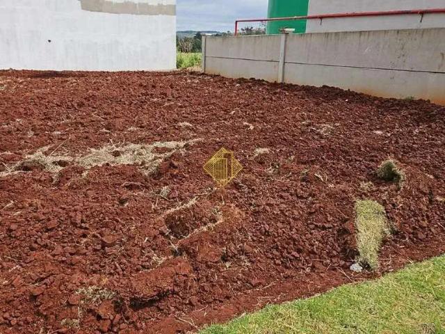 Terreno / Lote para Venda em Marechal Cândido Rondon/PR Centro