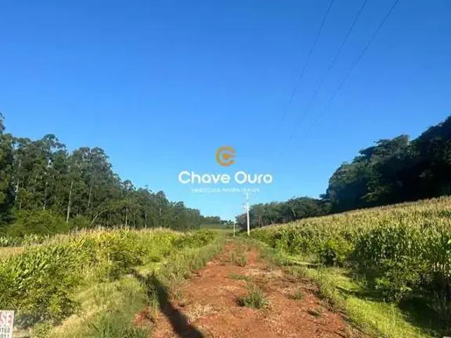 Terreno / Lote para Venda em Marechal Cândido Rondon/PR Zona Rural