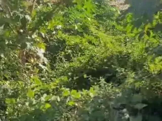 Terreno / Lote para Venda em Marechal Deodoro/AL Barra Nova