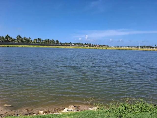 Terreno / Lote para Venda em Marechal Deodoro/AL Barra Nova