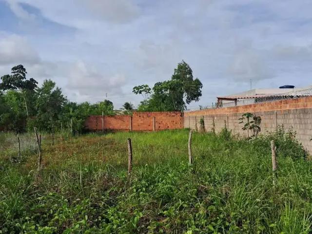 Terreno / Lote para Venda em Marechal Deodoro/AL Fazenda Barreiros