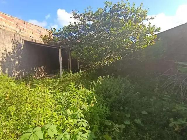 Terreno / Lote para Venda em Marechal Deodoro/AL Fazenda Barreiros