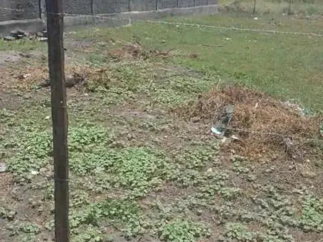 Terreno / Lote para Venda em Marechal Deodoro/AL Loteamento Trevo do Frances