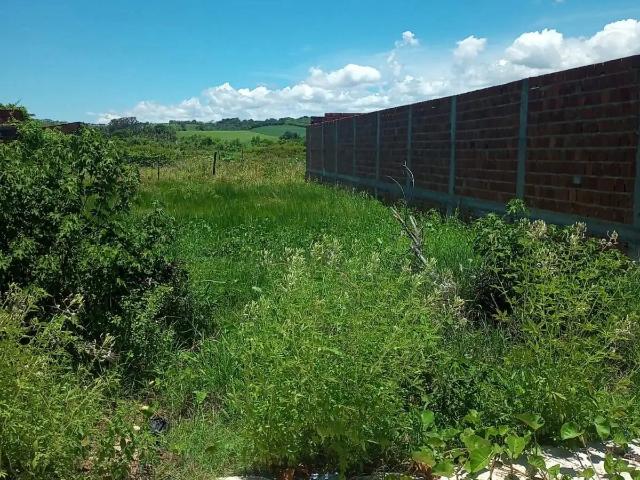 Terreno / Lote para Venda em Marechal Deodoro/AL Loteamento Búzios do Frances