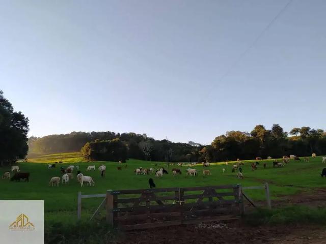 Terreno / Lote para Venda em Marema/SC Centro
