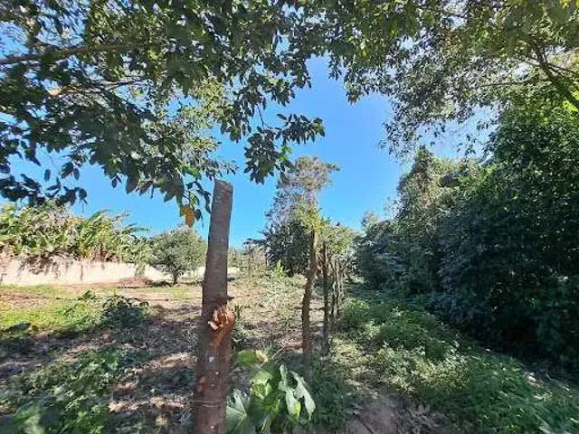 Terreno / Lote para Venda em Maricá/RJ Vale da Figueira Ponta Negra