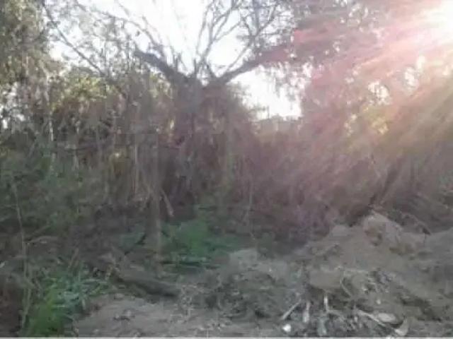 Terreno / Lote para Venda em Maricá/RJ Bananal Ponta Negra