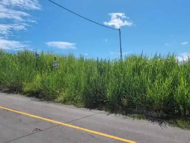 Terreno / Lote para Venda em Maricá/RJ Balneário Bambuí Ponta Negra