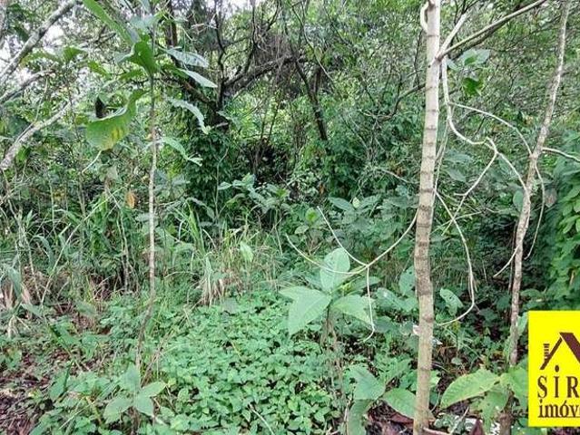 Terreno / Lote para Venda em Maricá/RJ Chácaras de Inoã Inoã