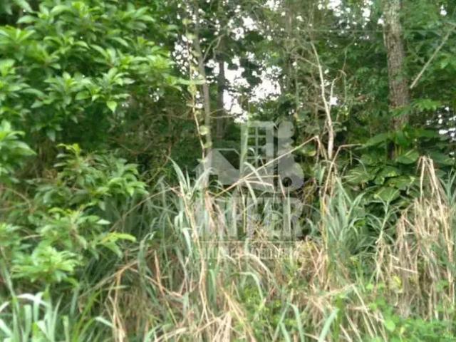 Terreno / Lote para Venda em Maricá/RJ Chácaras de Inoã Inoã