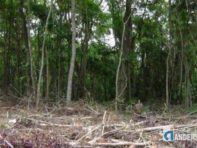 Terreno / Lote para Venda em Maricá/RJ Itaocaia Valley Itaipuaçu