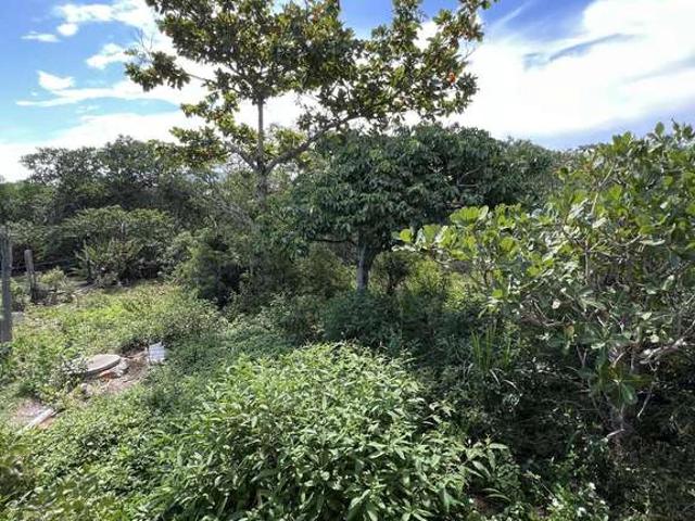 Terreno / Lote para Venda em Maricá/RJ Jardim Atlântico Central Itaipuaçu