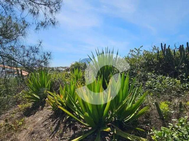 Terreno / Lote para Venda em Maricá/RJ Jardim Atlântico Leste Itaipuaçu