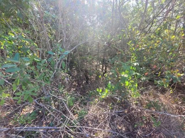 Terreno / Lote para Venda em Maricá/RJ Pindobal Ponta Negra