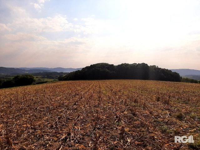 Terreno / Lote para Venda em Mariana Pimentel/RS Centro
