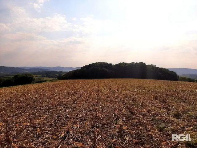 Terreno / Lote para Venda em Mariana Pimentel/RS Centro