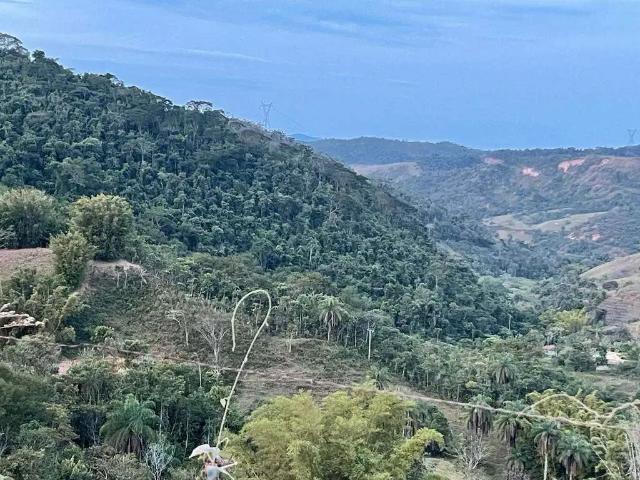 Terreno / Lote para Venda em Mariana/MG Cachoeira Do Brumado