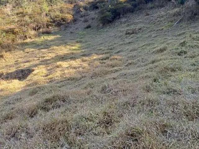 Terreno / Lote para Venda em Mariana/MG Furquim