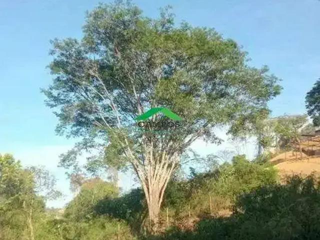 Terreno / Lote para Venda em Mariana/MG Magalhães