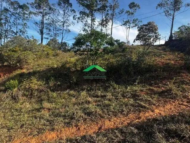 Terreno / Lote para Venda em Mariana/MG Padre Viegas