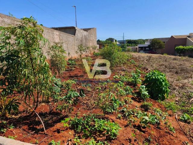 Terreno / Lote para Venda em Marialva/PR Centro