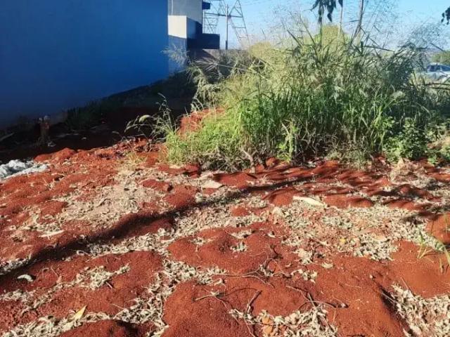 Terreno / Lote para Venda em Marialva/PR Jardim Bela Vista
