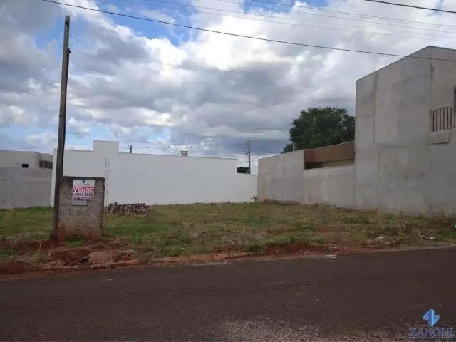 Terreno / Lote para Venda em Marialva/PR Jardim Bela Vista