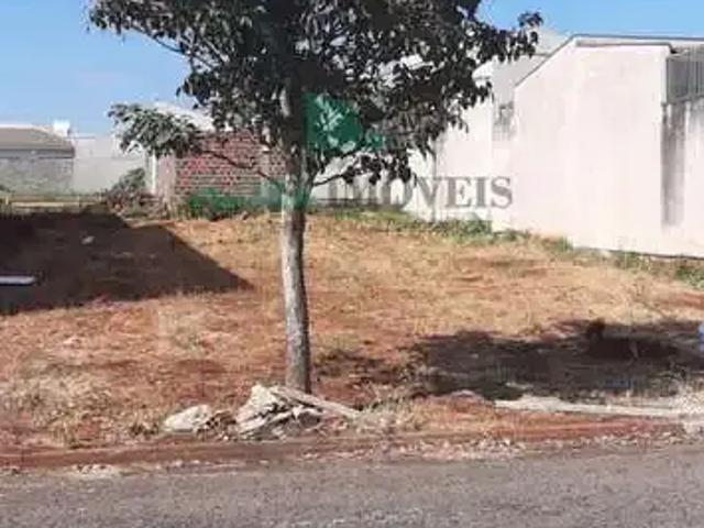 Terreno / Lote para Venda em Marialva/PR Jardim Eldorado