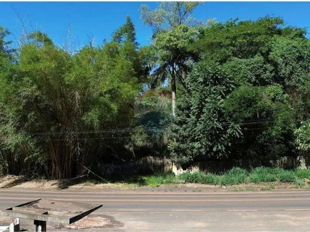 Terreno / Lote para Venda em Mário Campos/MG Centro