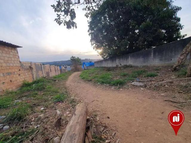 Terreno / Lote para Venda em Mário Campos/MG Jardim Primavera