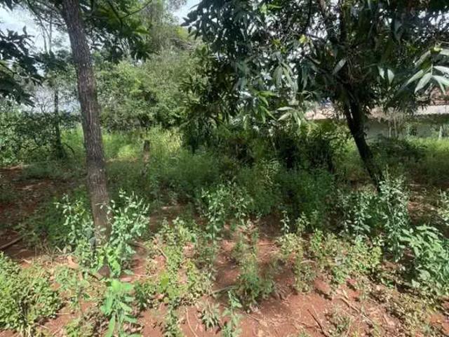 Terreno / Lote para Venda em Mário Campos/MG Reta do Jacaré 1 Quartos