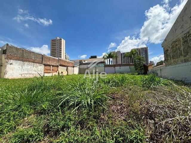 Terreno / Lote para Venda em Marília/SP Centro