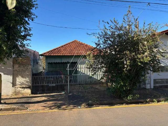 Terreno / Lote para Venda em Marília/SP Alto Cafezal
