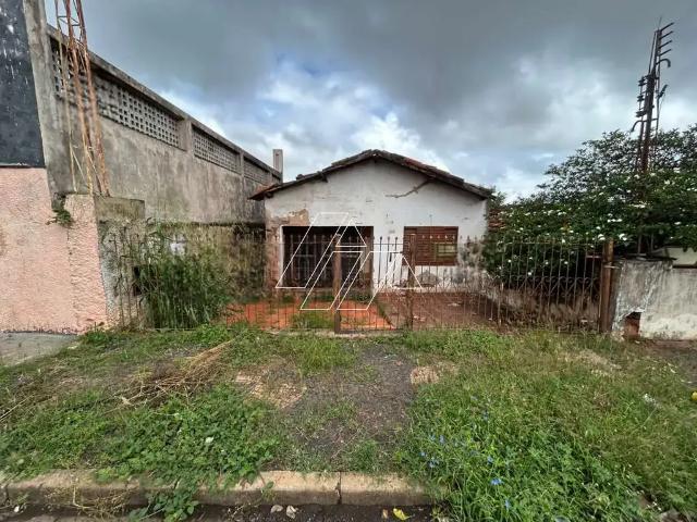 Terreno / Lote para Venda em Marília/SP Alto Cafezal