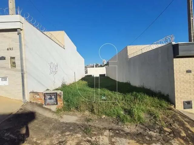 Terreno / Lote para Venda em Marília/SP Alto Cafezal
