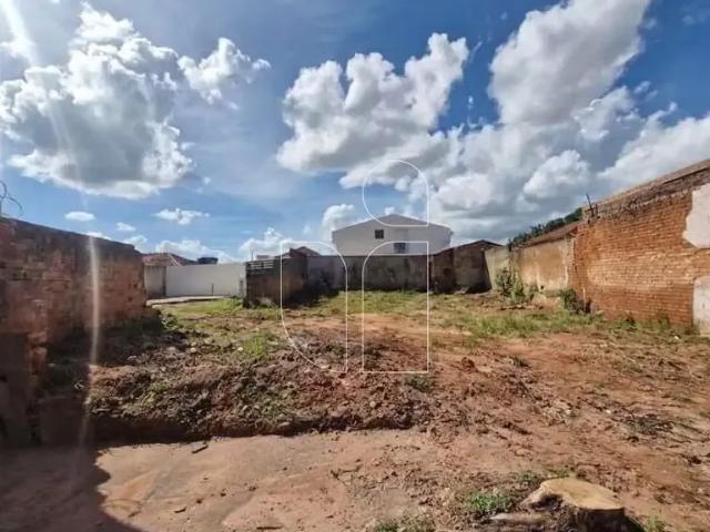 Terreno / Lote para Venda em Marília/SP Alto Cafezal