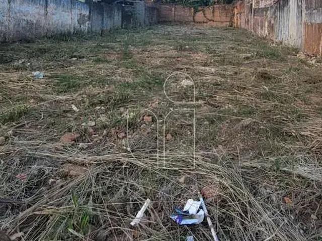 Terreno / Lote para Venda em Marília/SP Alto Cafezal