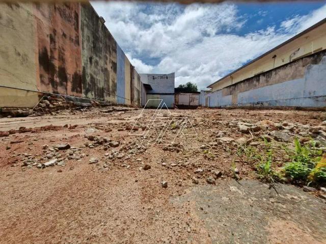 Terreno / Lote para Venda em Marília/SP Alto Cafezal