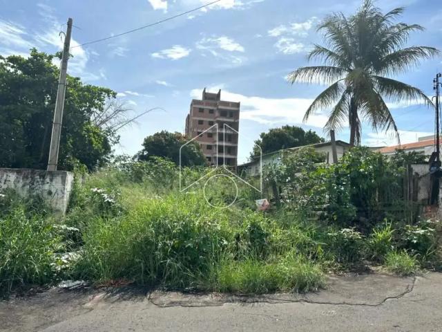 Terreno / Lote para Venda em Marília/SP Alto Cafezal