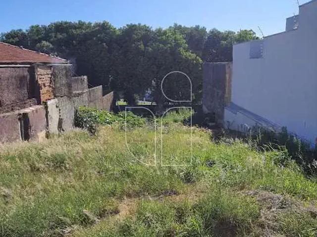 Terreno / Lote para Venda em Marília/SP Alto Cafezal