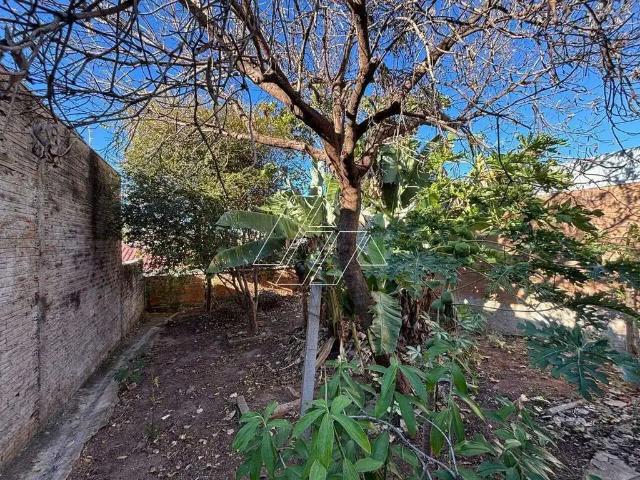 Terreno / Lote para Venda em Marília/SP Alto Cafezal