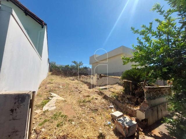 Terreno / Lote para Venda em Marília/SP Alto Cafezal