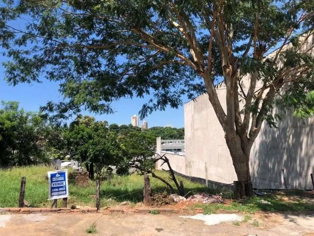 Terreno / Lote para Venda em Marília/SP Alto Cafezal