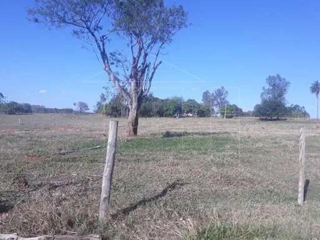 Terreno / Lote para Venda em Marília/SP Área Rural de Marília