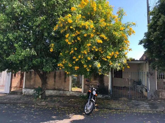 Terreno / Lote para Venda em Marília/SP Bassan
