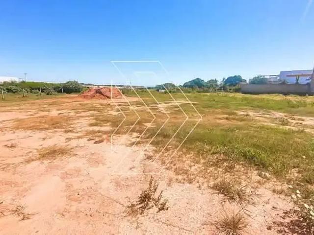 Terreno / Lote para Venda em Marília/SP Distrito Industrial Santo Barion