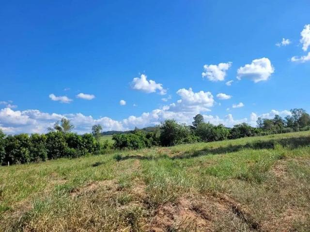 Terreno / Lote para Venda em Marília/SP Jóquei Clube