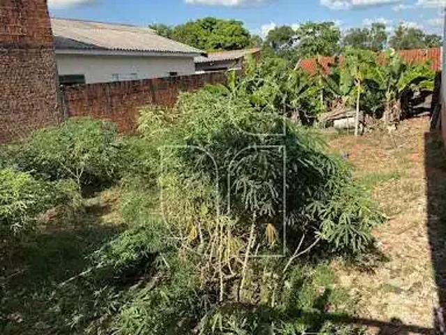 Terreno / Lote para Venda em Marília/SP Jardim Marajó